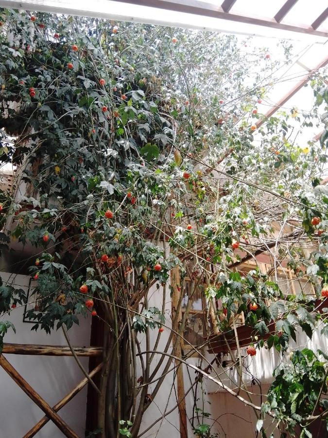 Апарт отель Casa De Mama Cusco - The Treehouse Экстерьер фото